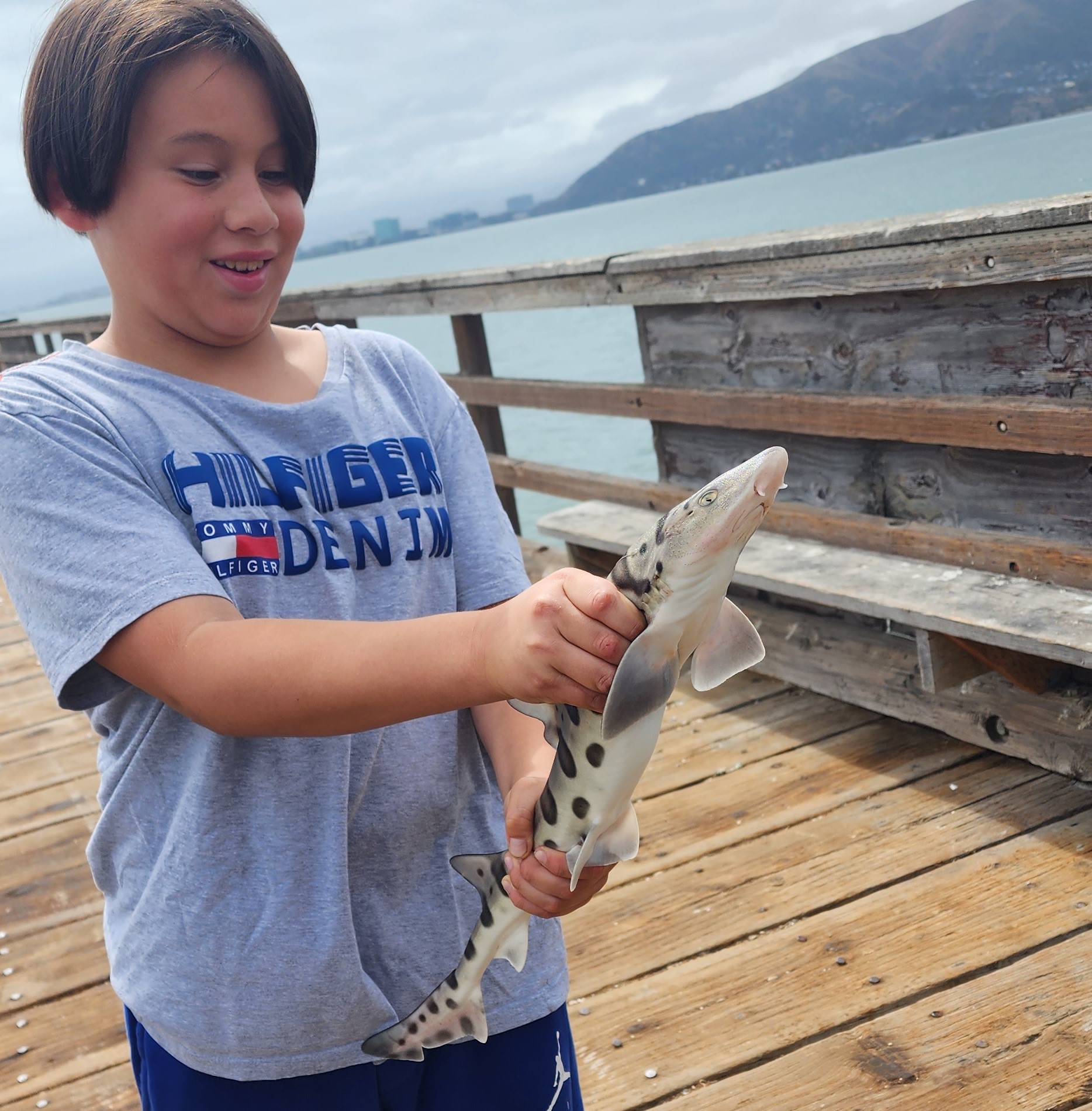boy with leopard shark